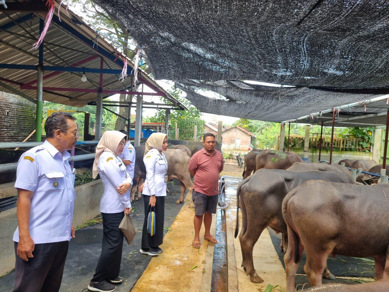 Pengecekan kesehatan hewan kurban jelang Iduladha 1446 H