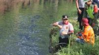 Bupati Semarang, Ngesti Nugraha saat mengambil sampel air Sungai Kaligung yanhg diduga tercemar Bupati Semarang, Ngesti Nugraha saat mengambil sampel air Sungai Kaligung yanhg diduga tercemar