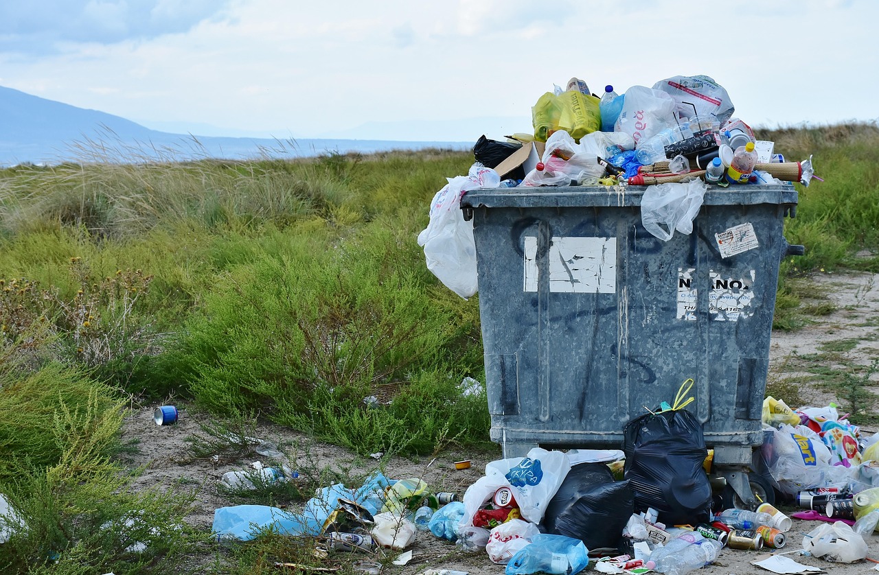 Ilustrasi sampah (pixabay/ RitaE)