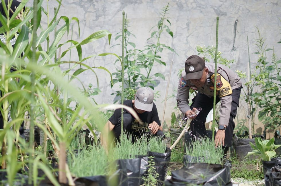 Bhabinkamtibmas Banyumanik dorong warga manfaatkan pekarangan rumah