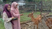 Semarang Zoo Tambah Koleksi dengan 3 Jenis Satwa Baru untuk Menarik Pengunjung.