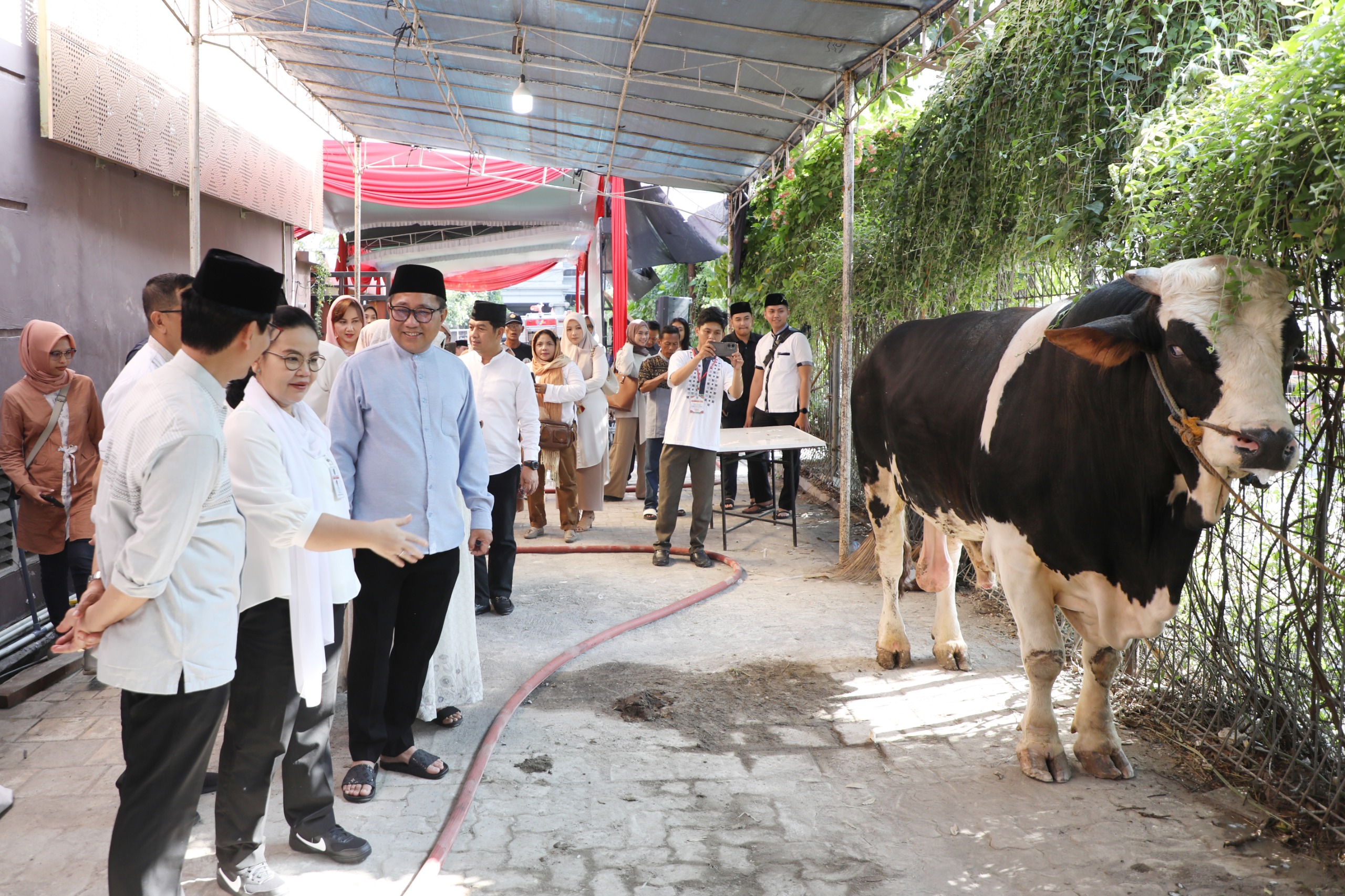 Momen Idul Adha: Wali Kota Semarang Sumbangkan Hewan Kurban untuk Masyarakat Momen Idul Adha: Wali Kota Semarang Sumbangkan Hewan Kurban untuk Masyarakat