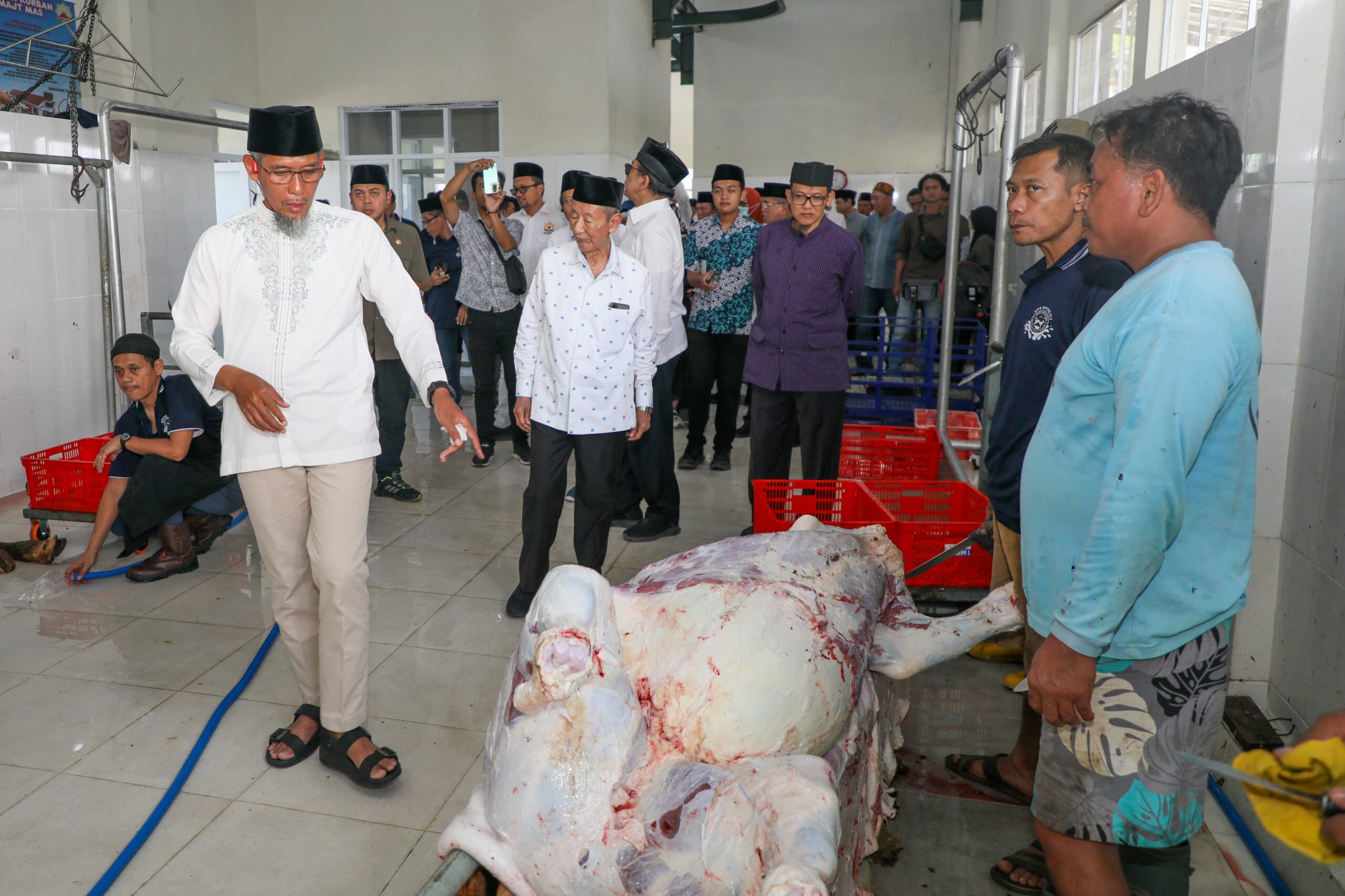 Proses Penyembelihan hewan kurban oleh Baznas Jateng.