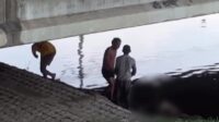 video pria meninggal di bawah jembatan Kaligarang Semarang video pria meninggal di bawah jembatan Kaligarang Semarang