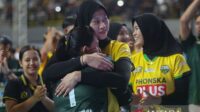 megawati megatron
