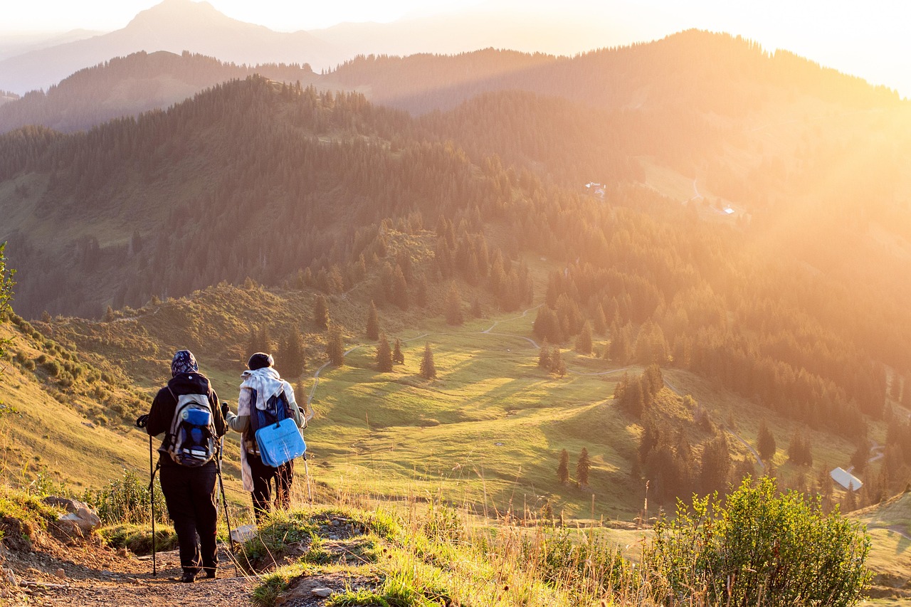 Ilustrasi pendaki gunung (pixabay/ zapCulture)