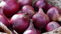 Ilustrasi penurunan harga bawang merah penyebab deflasi (pixabay/ matthiasboeckel) Ilustrasi penurunan harga bawang merah penyebab deflasi (pixabay/ matthiasboeckel)