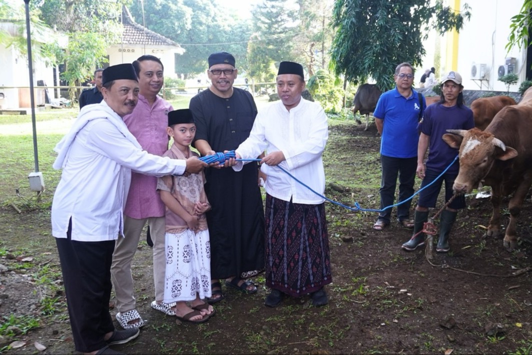 Unsoed menyembelih 11 sapi dan 2 kambing