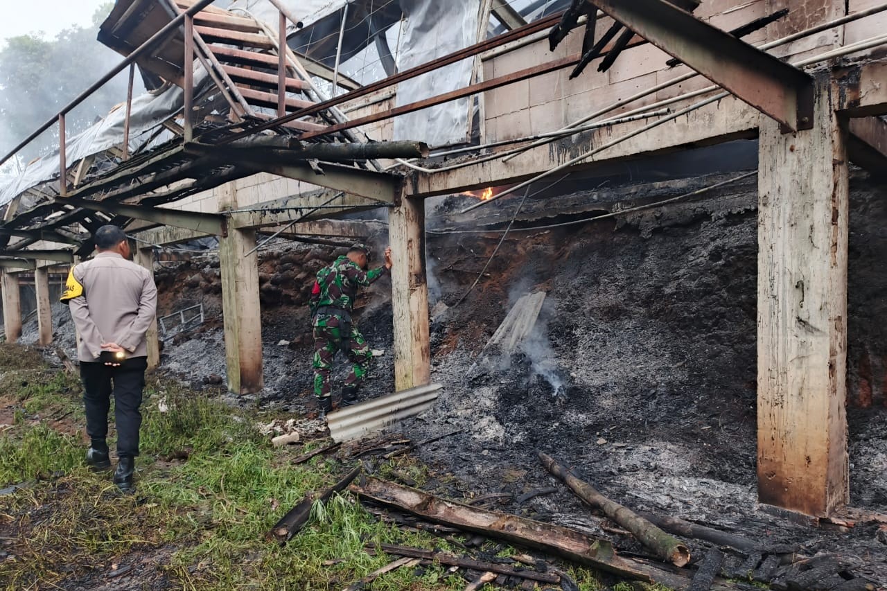 Kebakaran kandang ayam di Sumowono