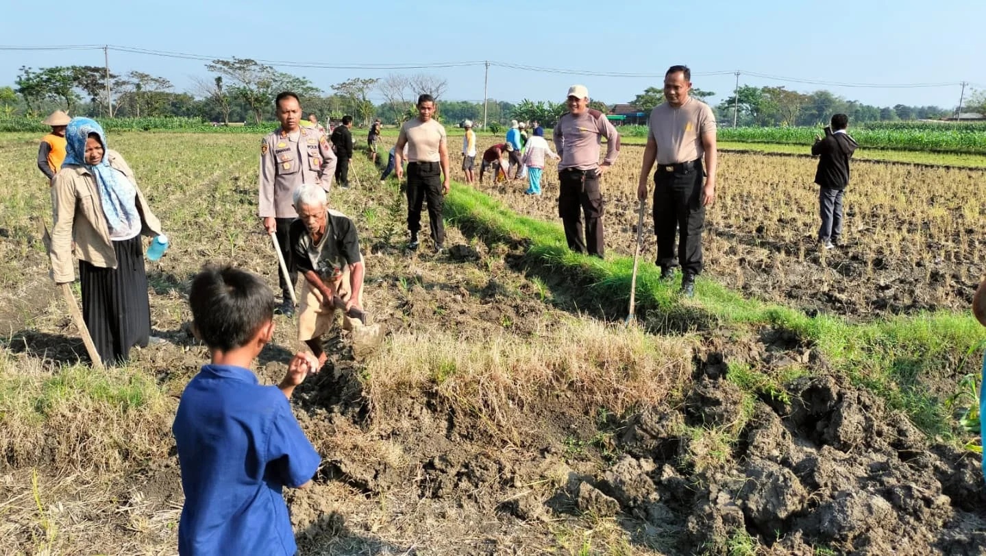 Polisi ikut gropyokan tikus di Grobogan