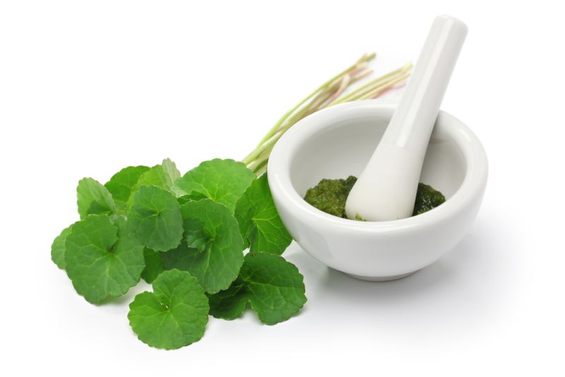 Daun pegagan