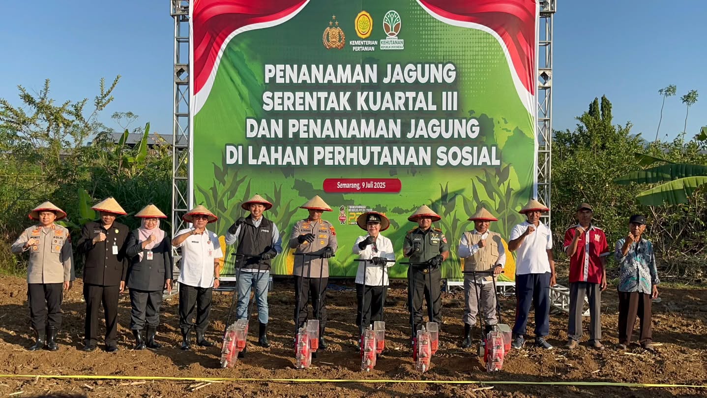Tanam jagung serentak di Mijen Kota Semarang