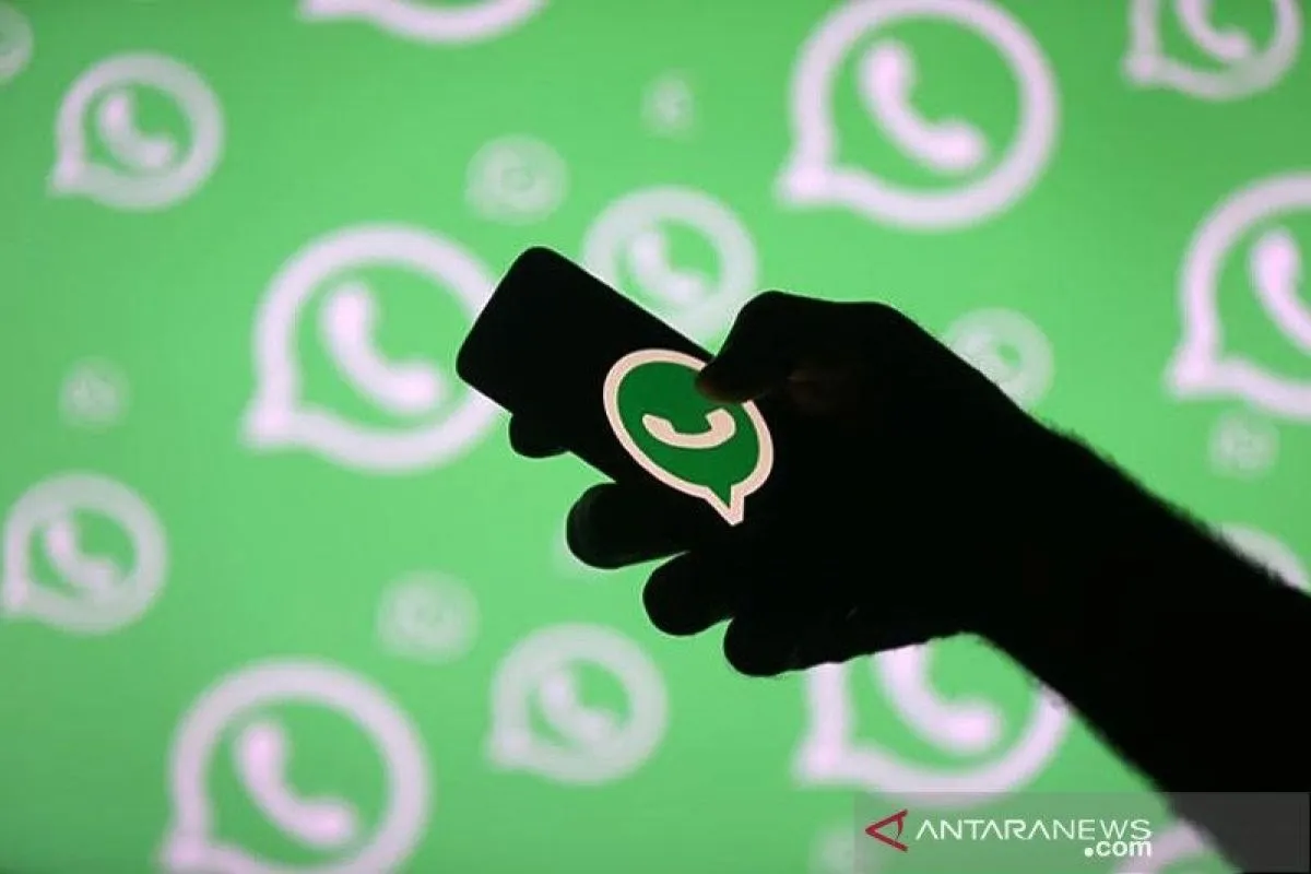 whatsapp Whatsapp