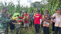 Ketua DPRD Jateng Sumanto raih penghargaan tentang ketahanan pangan Ketua DPRD Jateng Sumanto raih penghargaan tentang ketahanan pangan