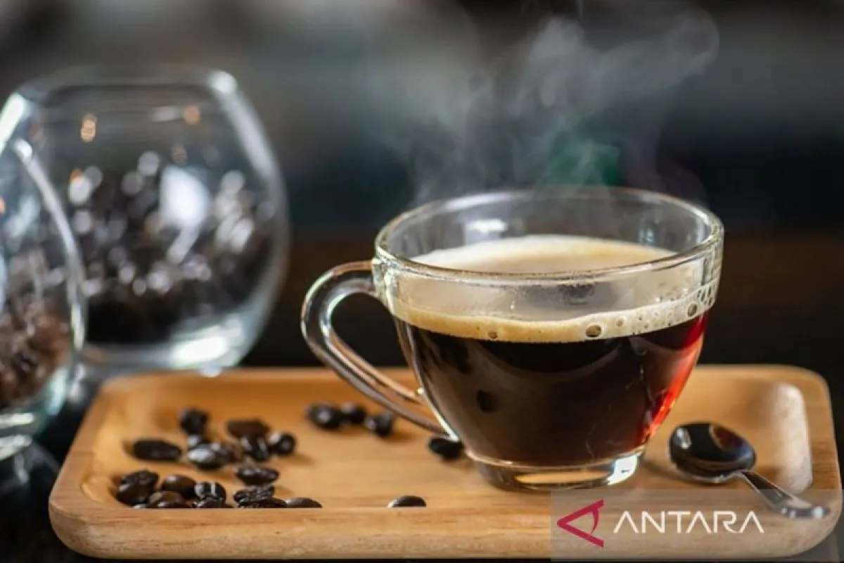 secangkir kopi secangkir kopi