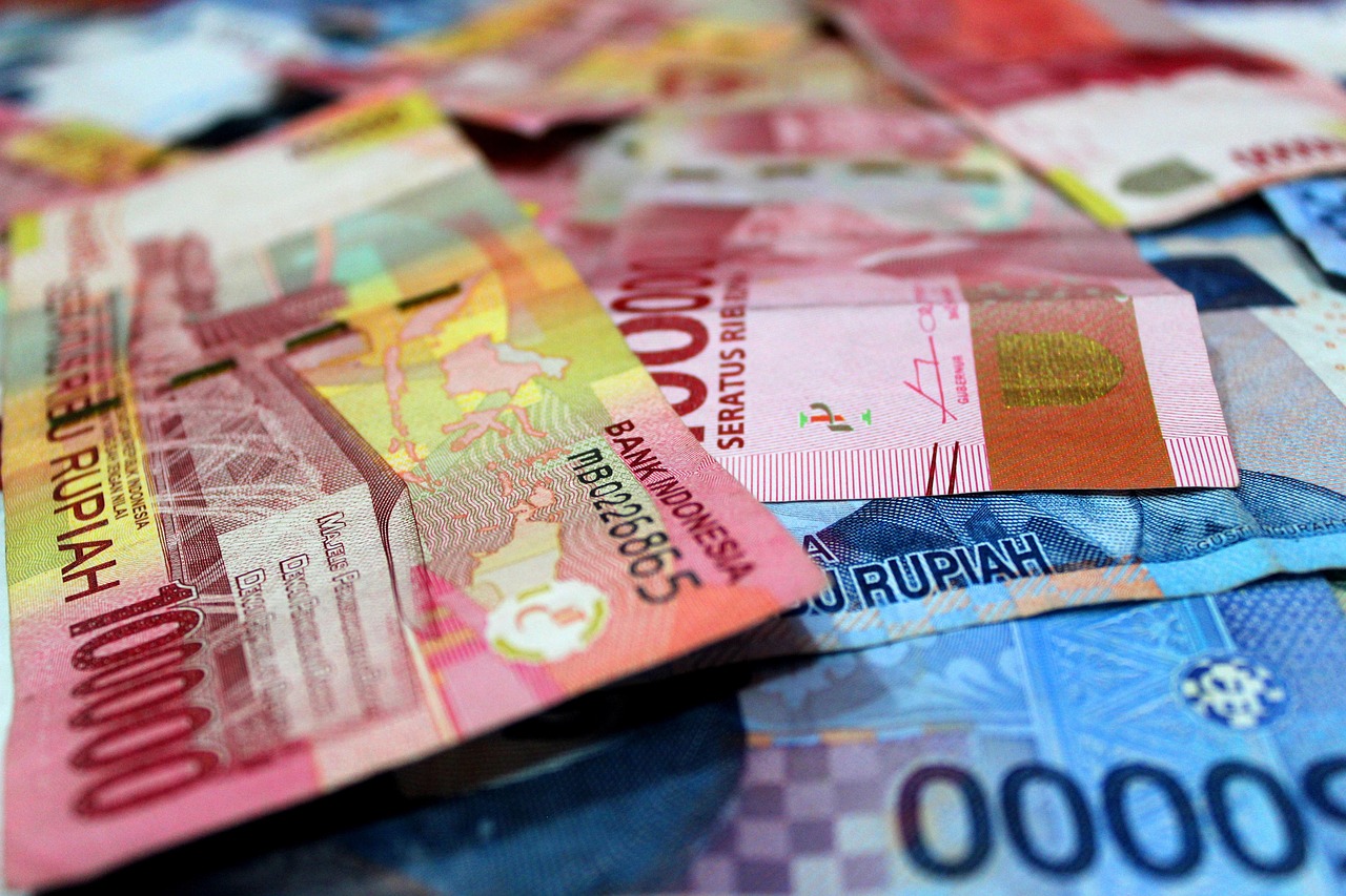 Ilustrasi bantuan subsidi upah atau BSU (pixabay/ EmAji) Ilustrasi bantuan subsidi upah atau BSU (pixabay/ EmAji)