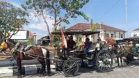 Delman (foto: Pemkab Demak) Delman (foto: Pemkab Demak)