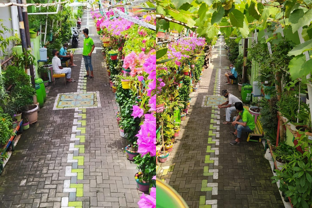 Kampung Ijo