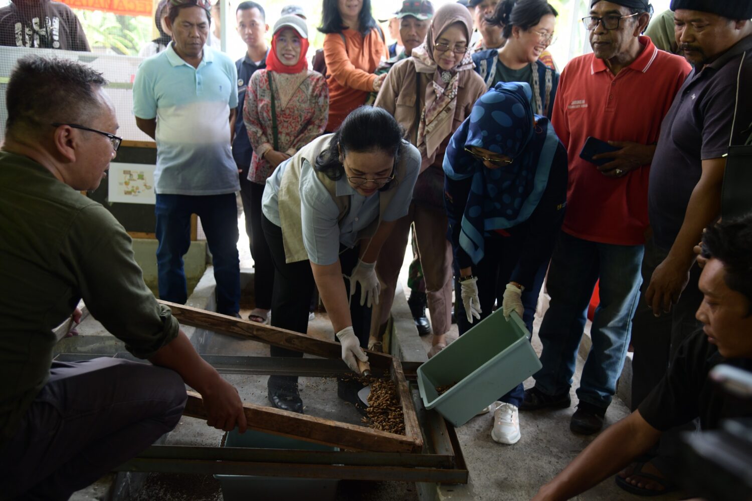 Wali Kota Semarang panen maggot di Jabungan (matasemarang.com/Lia Dina)
