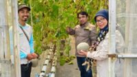 Dosen Unsoed dukung pengembangan budidaya melon berbasis IoT
