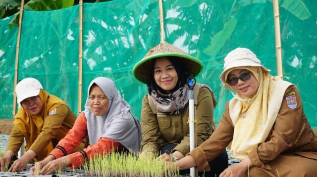 Unsoed dan PLN hadirkan alat irigasi otomatis di lahan bawang merah (Foto: Humas Unsoed)