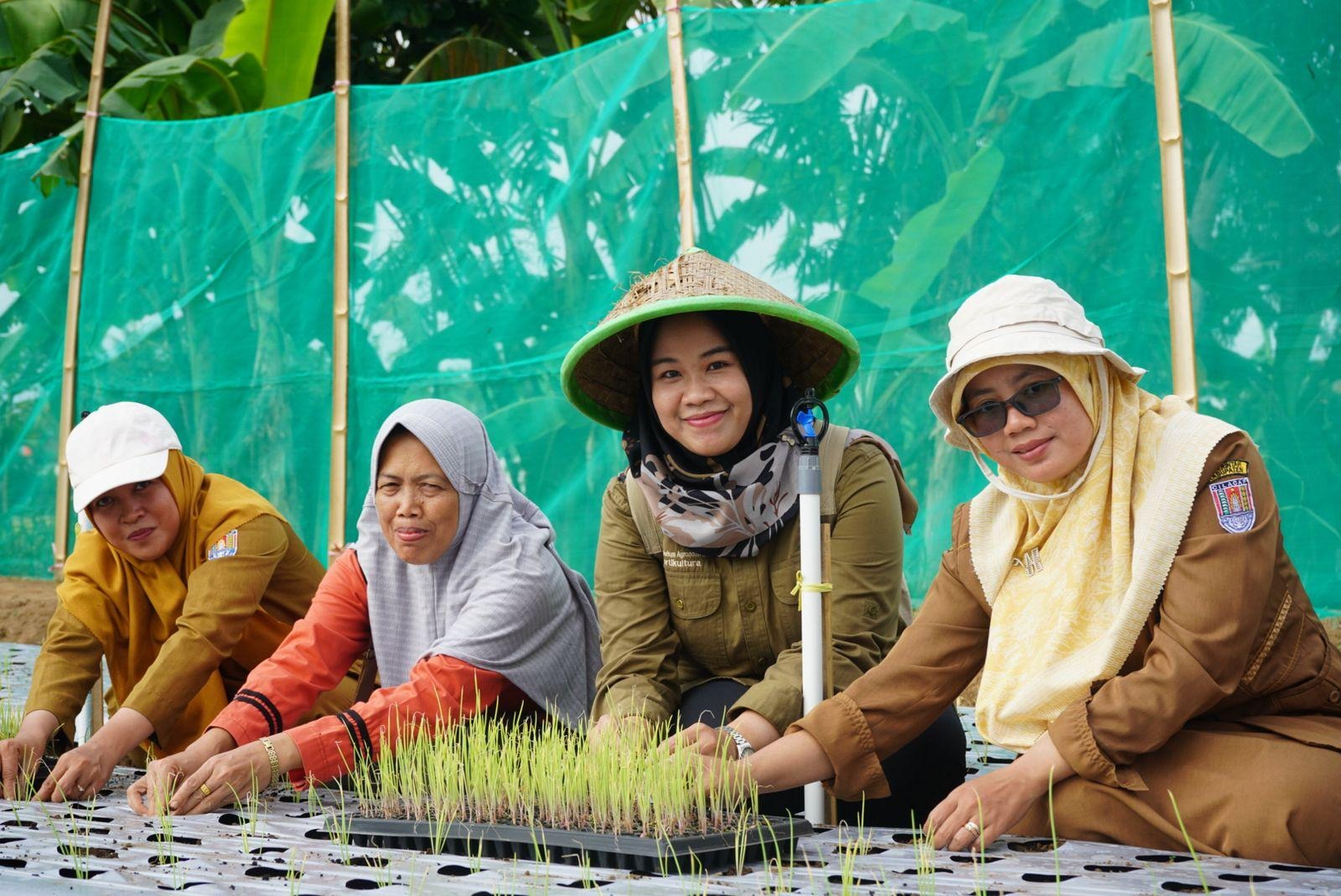 Unsoed dan PLN hadirkan alat irigasi otomatis di lahan bawang merah (Foto: Humas Unsoed)