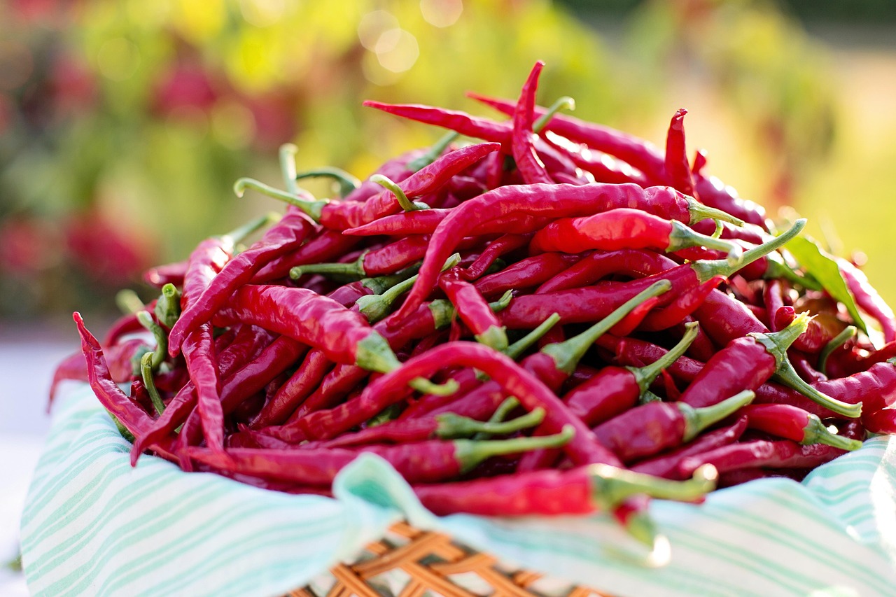 Cabai Keriting (pixabay/ JillWellington)