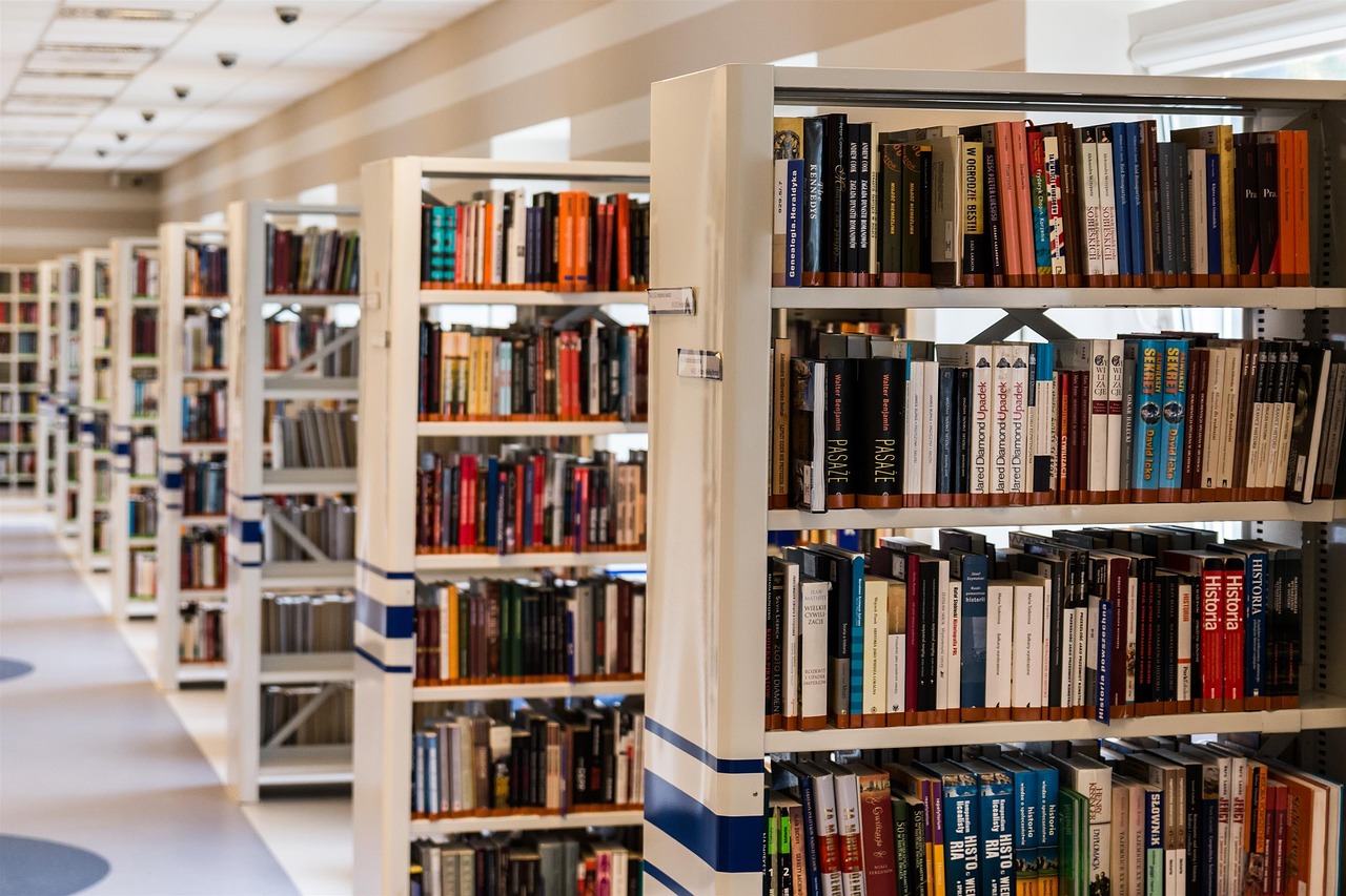 ilustrasi perpustakaan (pixabay/ jarmoluk) ilustrasi perpustakaan (pixabay/ jarmoluk)