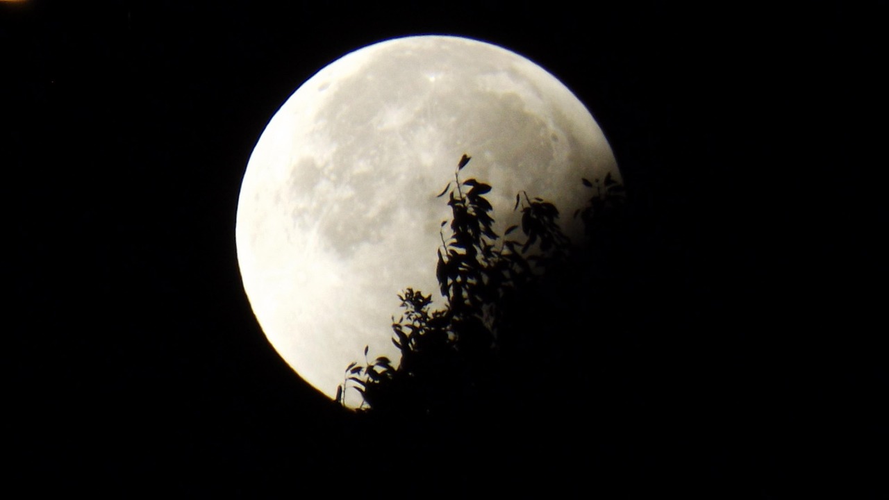 ilustrasi gerhana bulan total (pixabay/ colibri5) ilustrasi gerhana bulan total (pixabay/ colibri5)