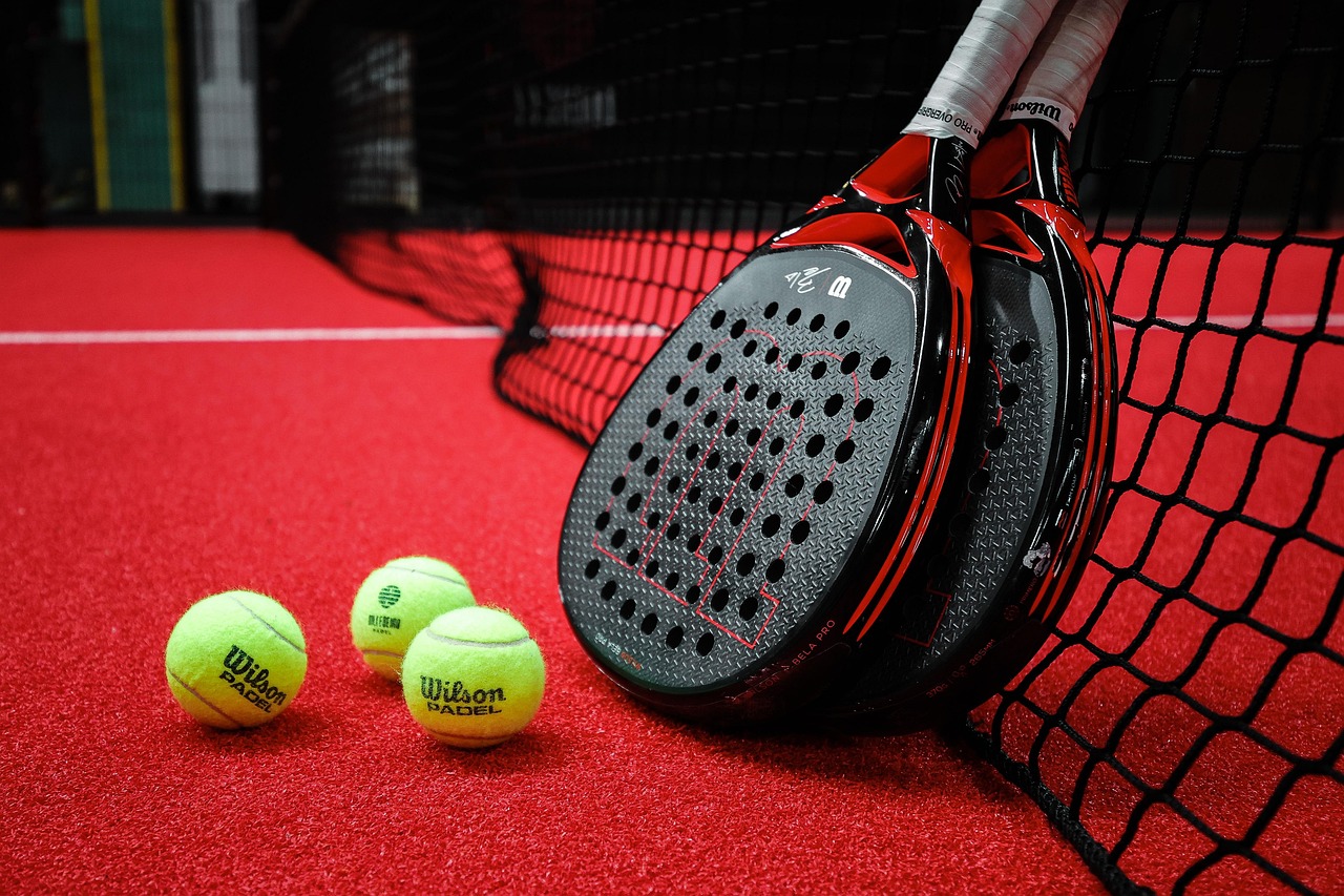 tips memilih raket padel (pixabay/ IGFotojonas)