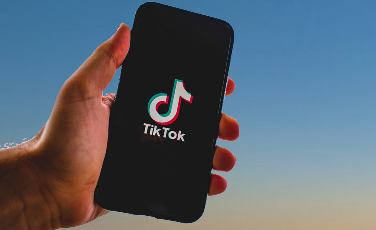 ilustrasi TikTok (pixabay/ nikuga) ilustrasi TikTok (pixabay/ nikuga)