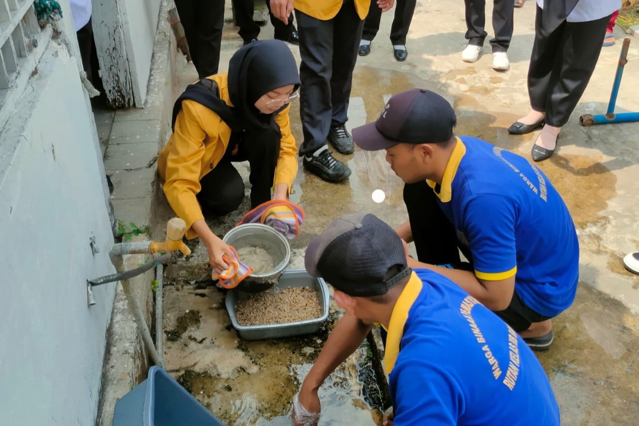 Tim PKM Unsoed implementasikan pengolahan produk turunan Maggot (foto: Humas Unsoed)