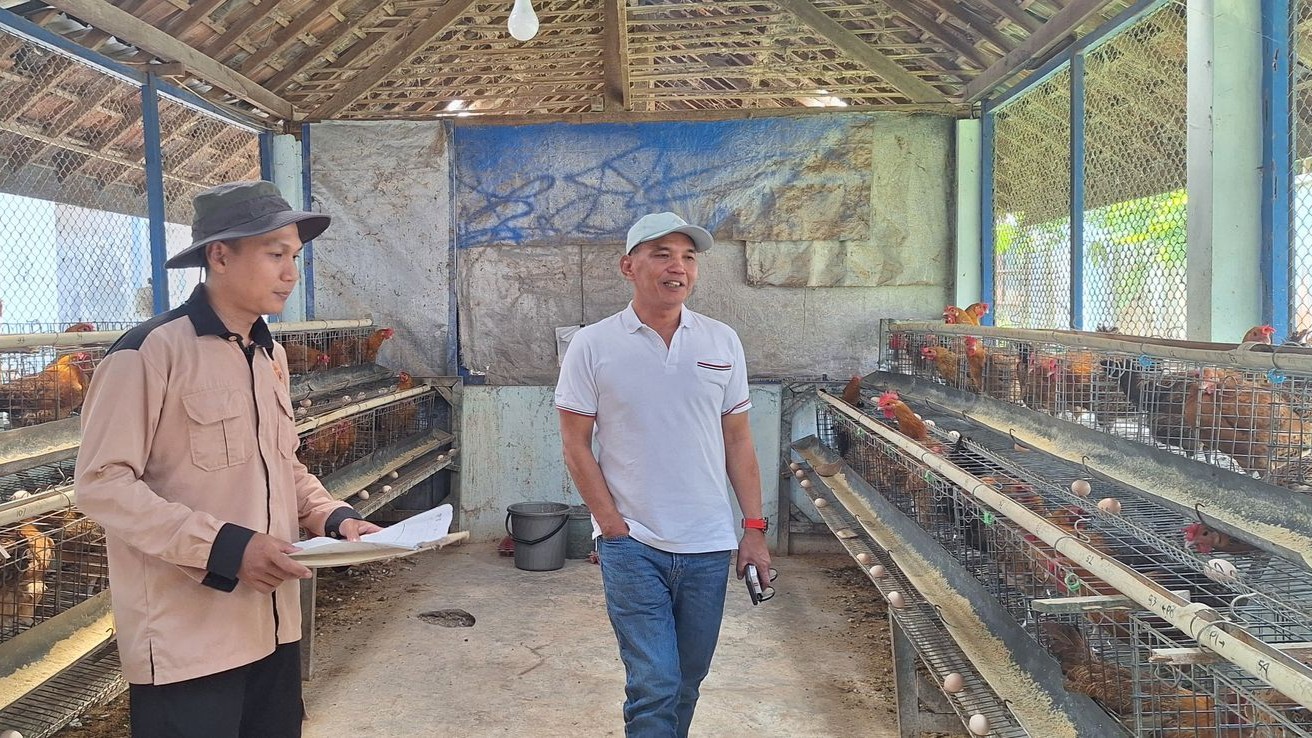 Ketua DPRD Jateng Sumanto mengatakan beternak ayam