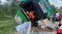 Evakuasi bus rombongan FKK Bendan Ngisor yang mengalami kecelakaan di Pemalang, Sabtu 25 Oktober 2025 (foto: Basarnas Semarang) Evakuasi bus rombongan FKK Bendan Ngisor yang mengalami kecelakaan di Pemalang, Sabtu 25 Oktober 2025 (foto: Basarnas Semarang)