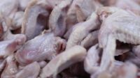 ilustrasi daging ayam ras (pixabay/ Ekoanug) ilustrasi daging ayam ras (pixabay/ Ekoanug)