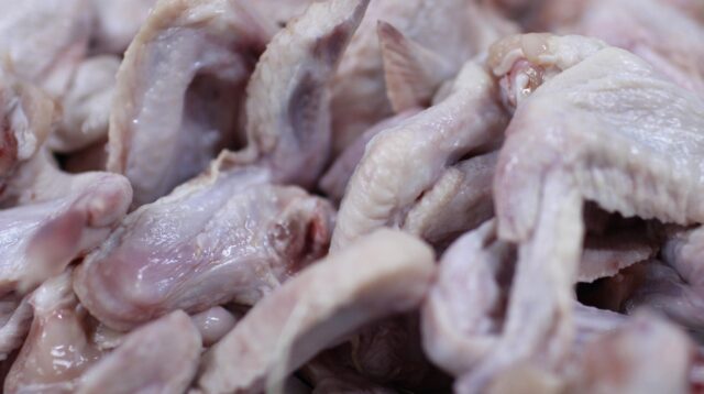 ilustrasi daging ayam ras (pixabay/ Ekoanug)