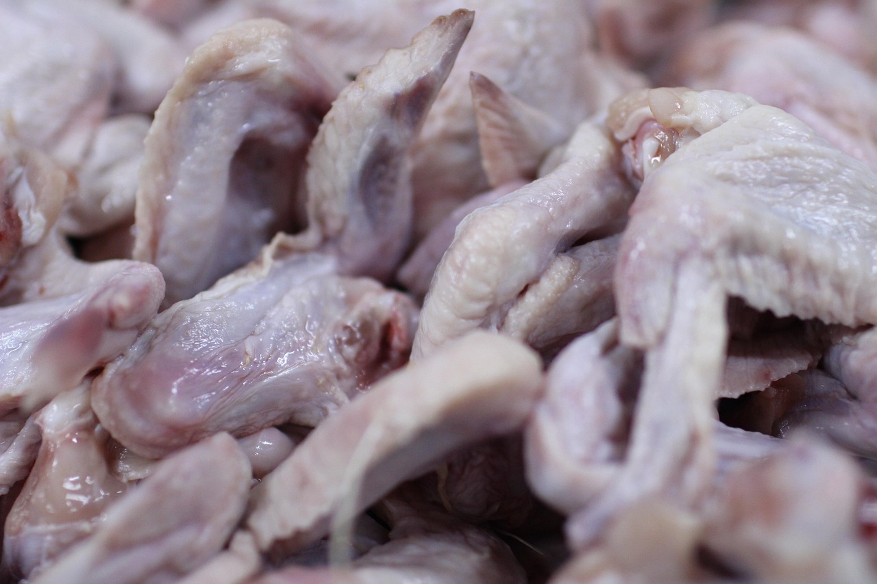 ilustrasi daging ayam ras (pixabay/ Ekoanug)