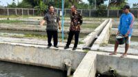 Ketua DPRD Jateng Sumanto mendorong masyarakat Magelang budidaya ikan Beong Ketua DPRD Jateng Sumanto mendorong masyarakat Magelang budidaya ikan Beong