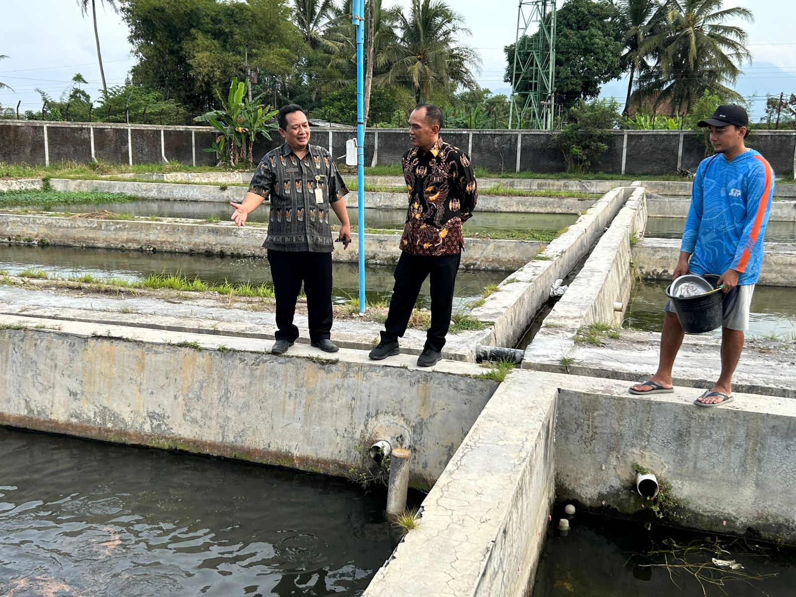 Ketua DPRD Jateng Sumanto mendorong masyarakat Magelang budidaya ikan Beong Ketua DPRD Jateng Sumanto mendorong masyarakat Magelang budidaya ikan Beong