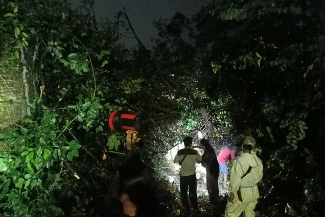 Sebuah pohon Angsana setinggi 10 meter tumbang dan menimpa dua rumah warga di wilayah Pudakpayung (foto: Polsek Banyumanik)