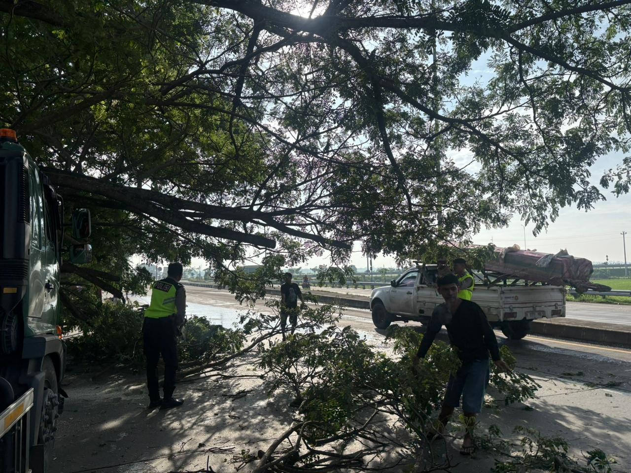 Truk tertimpa pohon trembesi di exit tol Kadilangu, Minggu 21 Desember 2025 (foto: Pemkab Demak)