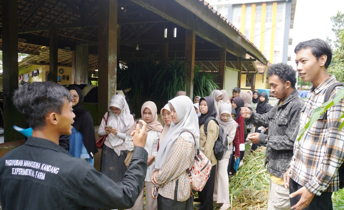 Mahasiswa UMP melakukan observasi langsung di kandang sapi perah Experimental Farm Unsoed (foto: Humas Unsoed)