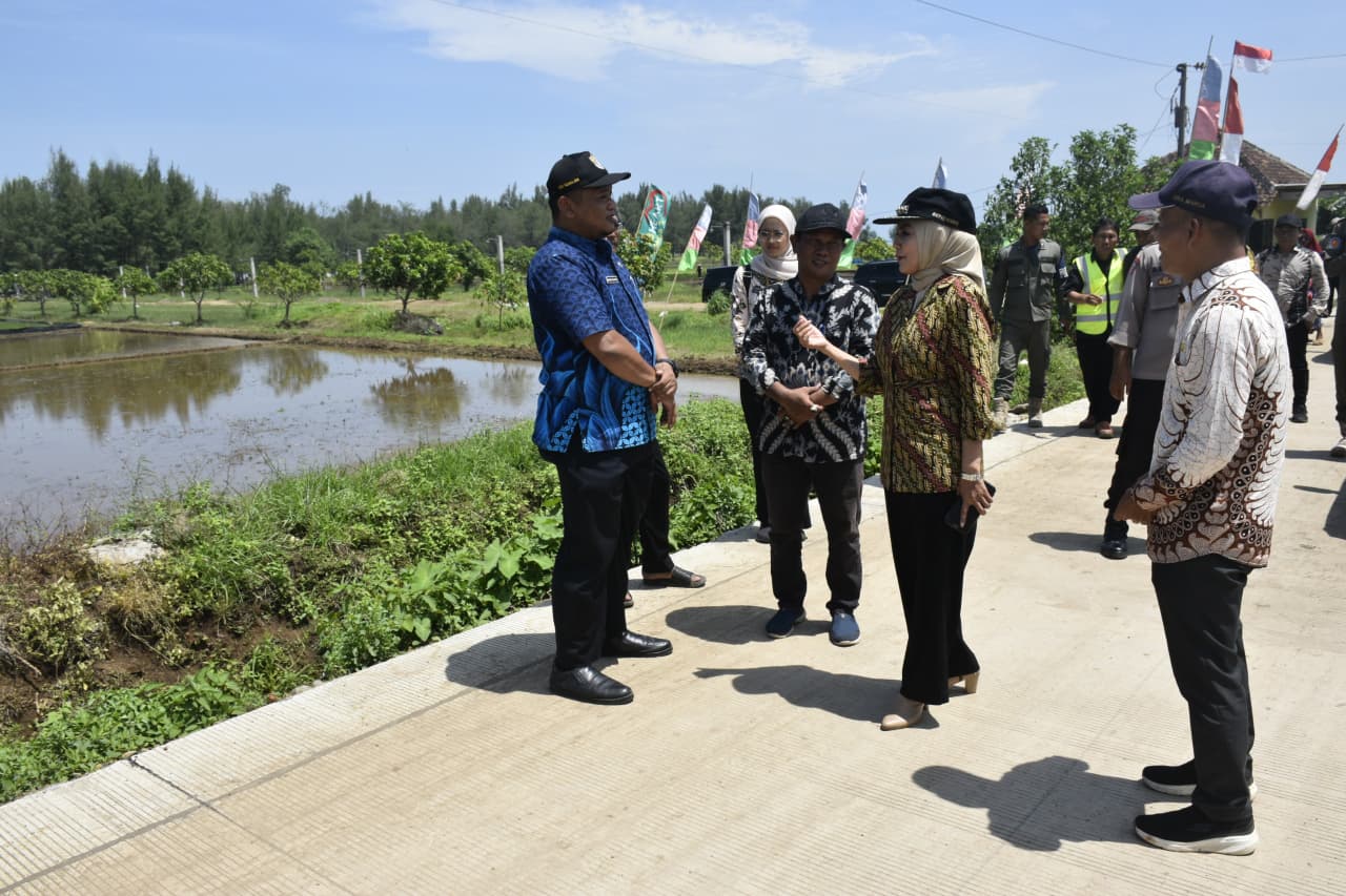 Bupati Kendal Dyah Kartika Permanasari meninjau jalan baru di Dusun Larangan, Sendangsikucing. 6 Januari 2025 (foto: Pemkab Kendal)