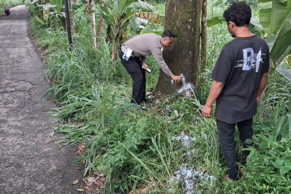 Lokasi kecelakaan tunggal di Desa Jetak, Getasan, yang menewaskan seorang anak berusia 13 tahun (foto: Polres Semarang)