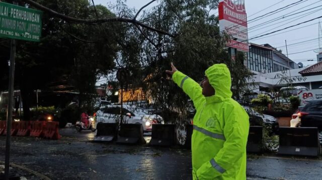 Pohon tumbang di Gajahmungkur Kota Semarang akibat hujan disertai angin (foto: Polsek Gajahmungkur)
