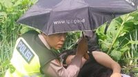 Kecelakaan di wilayah Umbul Sidomukti (foto: Polres Semarang)