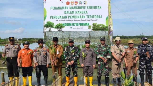 Pemkab Demak bersama Kodim 0716/Demak menanam 1.000 bibit mangrove di pesisir Wedung, 25 Mei 2026 (foto: Pemkab Demak)