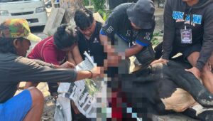 Snex melakukan kurban 27 Mei 2026 (foto: Snex)