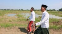 Sekda Jateng Sumarno saat meninjau sawah di Grobogan yang menjadi daratan lumpur usai tragedi tanggul jebol (foto: Pemprov Jateng)