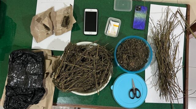 Barang bukti ganja kering seberat setengah kilogram diamankan dari tersangka DS (foto: Polres Salatiga)